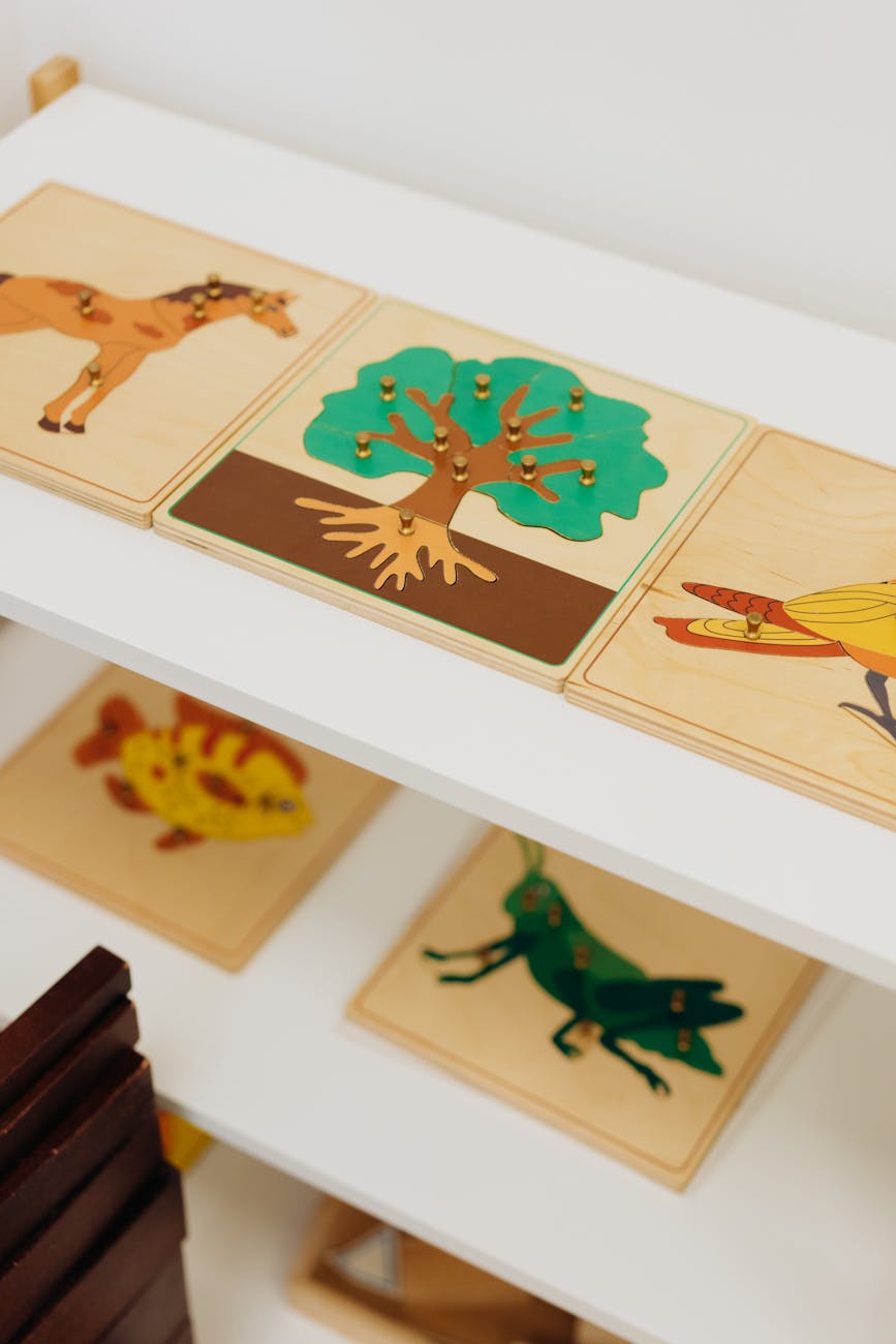 Montessori education